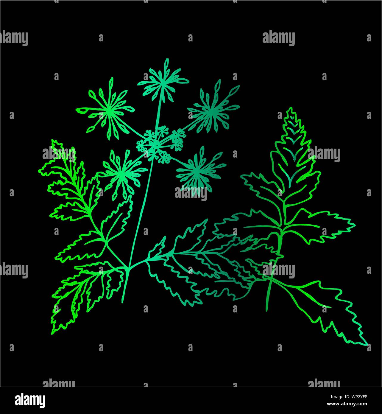 Photo d'un néon usine fractale. Feuilles et fleurs Illustration de Vecteur