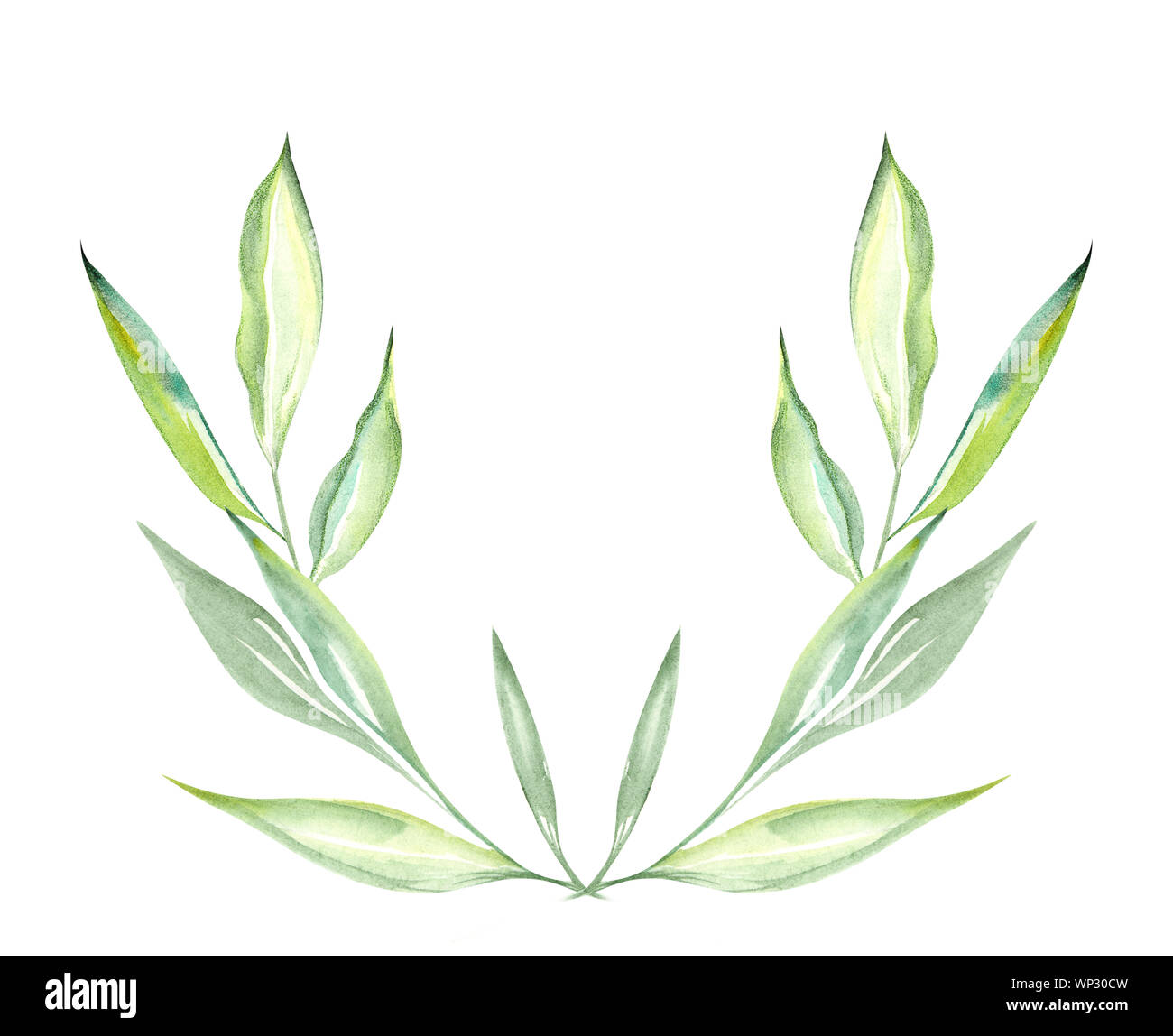 Illustration d'une aquarelle dessin de feuilles de plantes vertes sur fond blanc fond isolé sous la forme d'un demi-cercle floral Banque D'Images