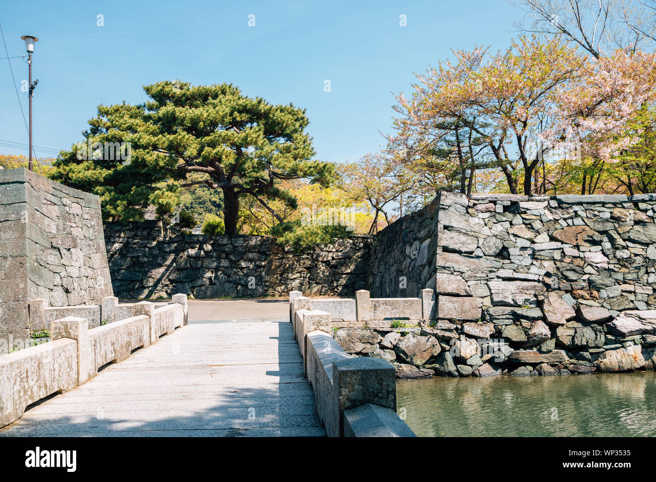 Central Park Tokushima Tokushima Castle Ruins au printemps à Shikoku, Japon Banque D'Images