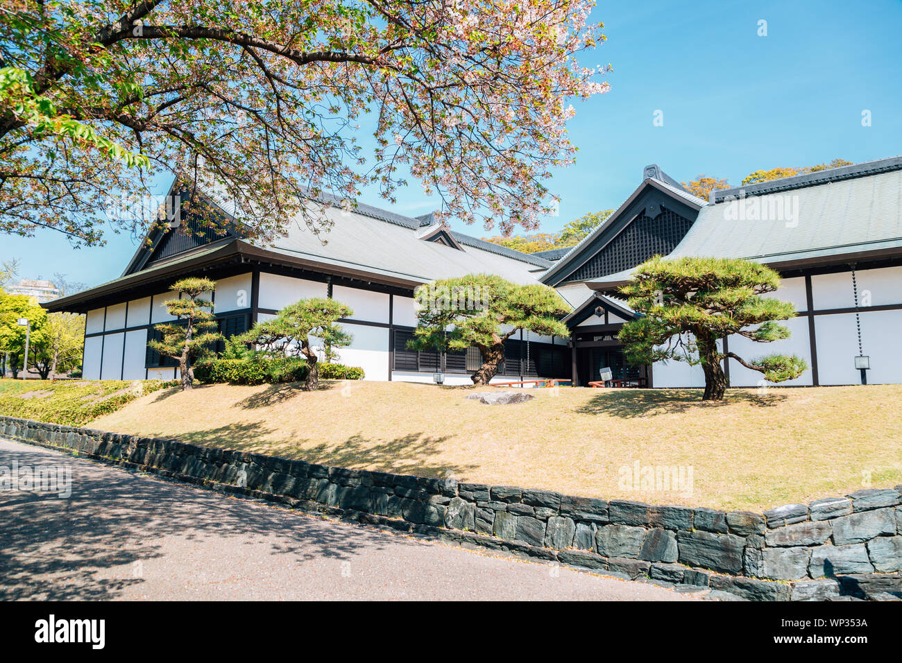 Tokushima, Shikoku, JAPON - 18 Avril 2019 : Central Park Tokushima Tokushima Castle Museum at spring Banque D'Images
