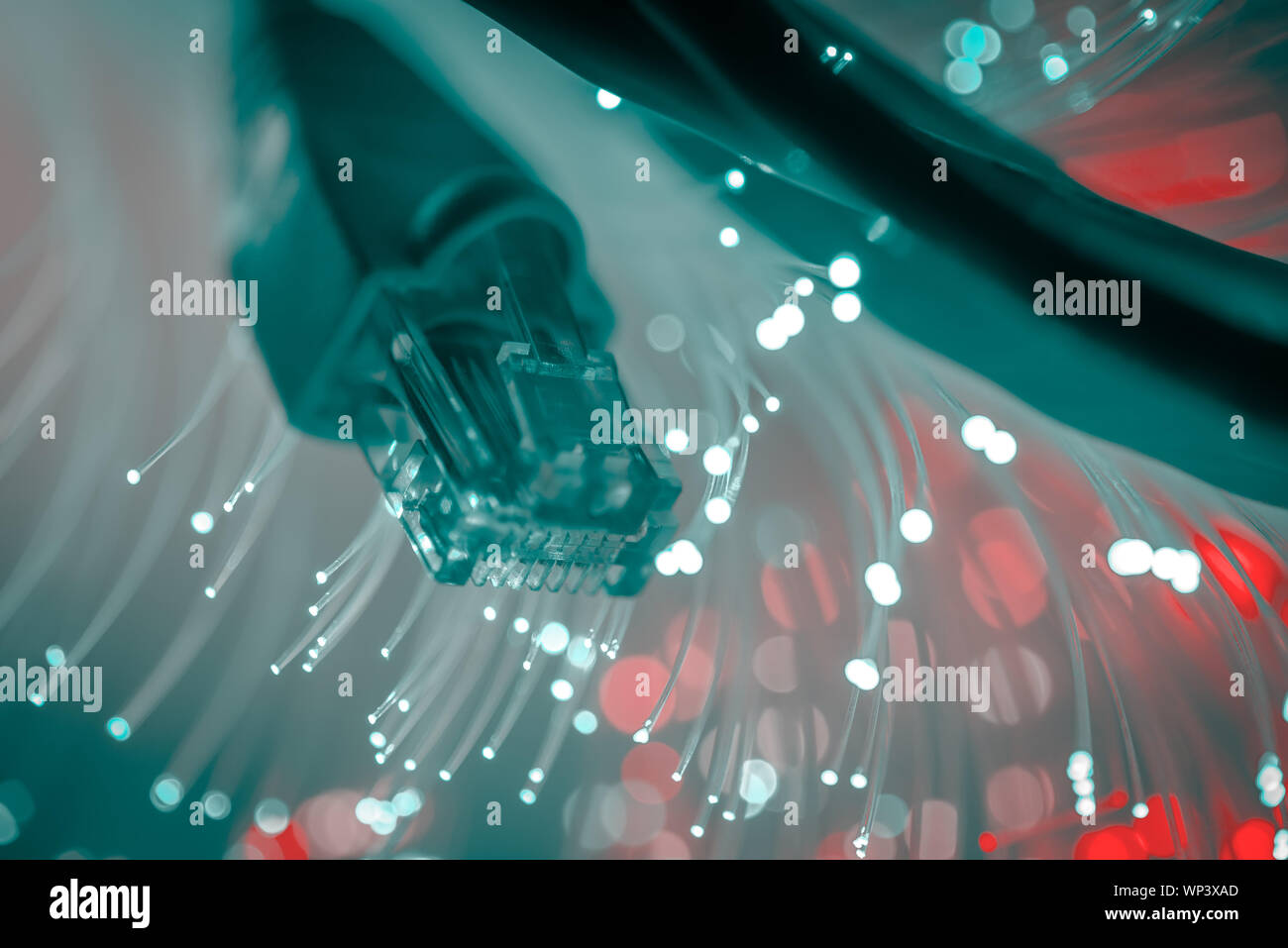 Câbles réseau libre avec fibre optique. Focus sélectif avec une faible profondeur de champ. Banque D'Images