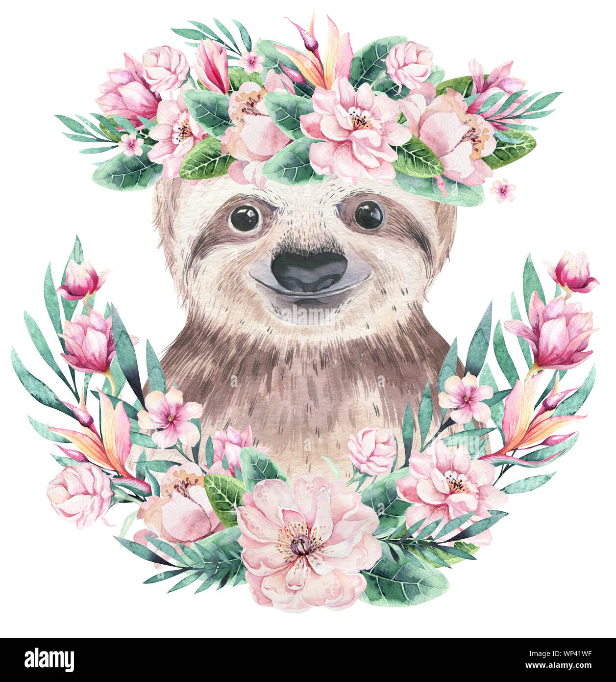 Une Affiche Avec Un Bebe Paresseux Dessin Aquarelle Illustration Des Animaux Tropicaux Paresseux Conception D Ete Exotiques De La Jungle Photo Stock Alamy