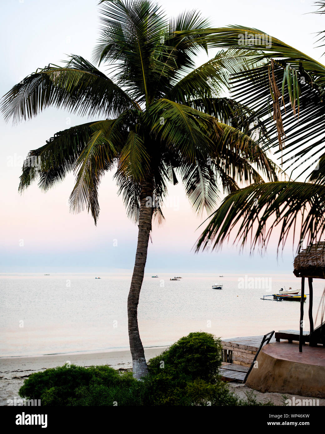 Avant le lever du soleil sur une plage de Madagascar avec cocotier et bateaux de pêche. Près de Tulear, côte sud-ouest Banque D'Images