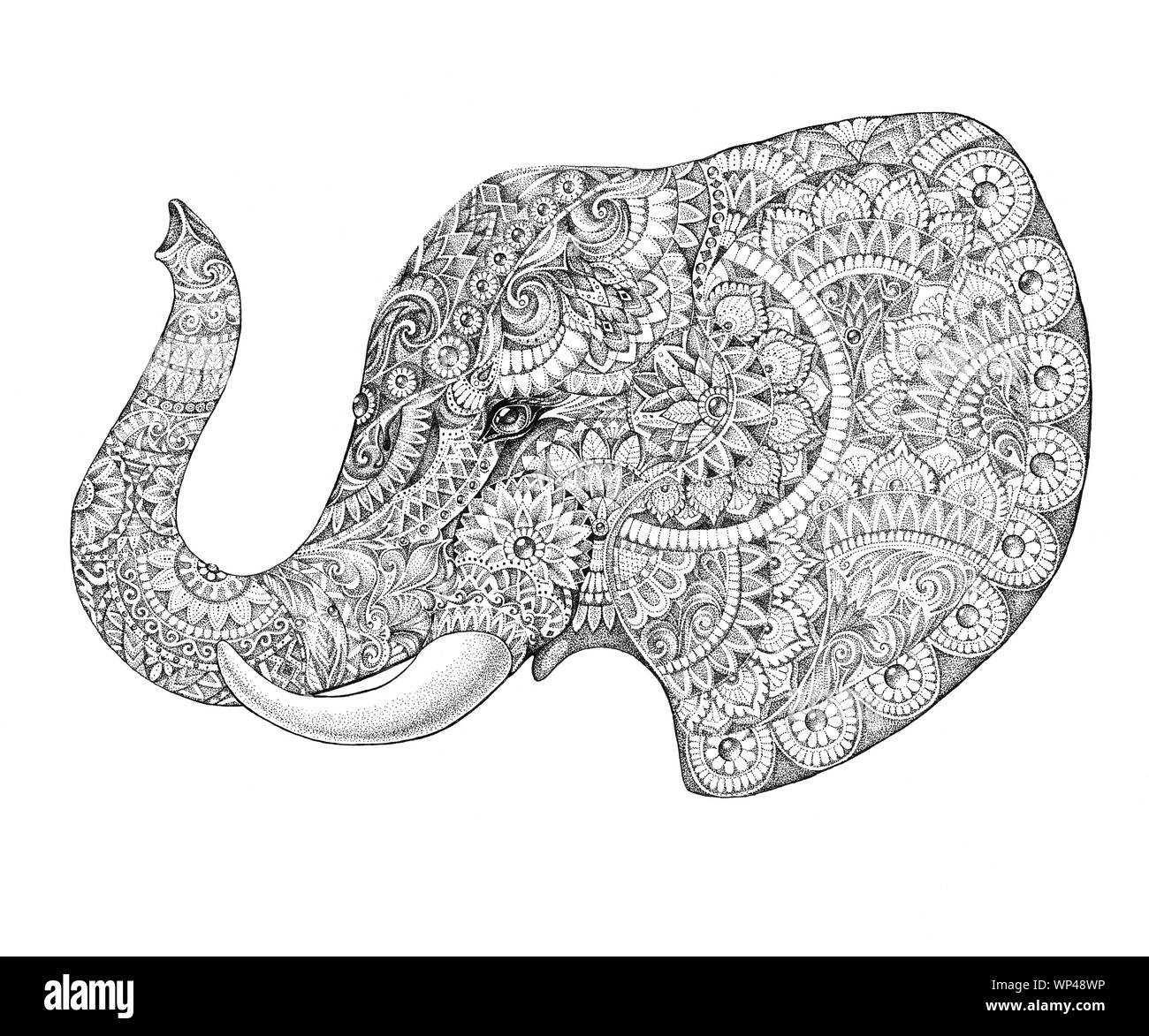 Elephant Profile Banque D Image Et Photos Page 4 Alamy