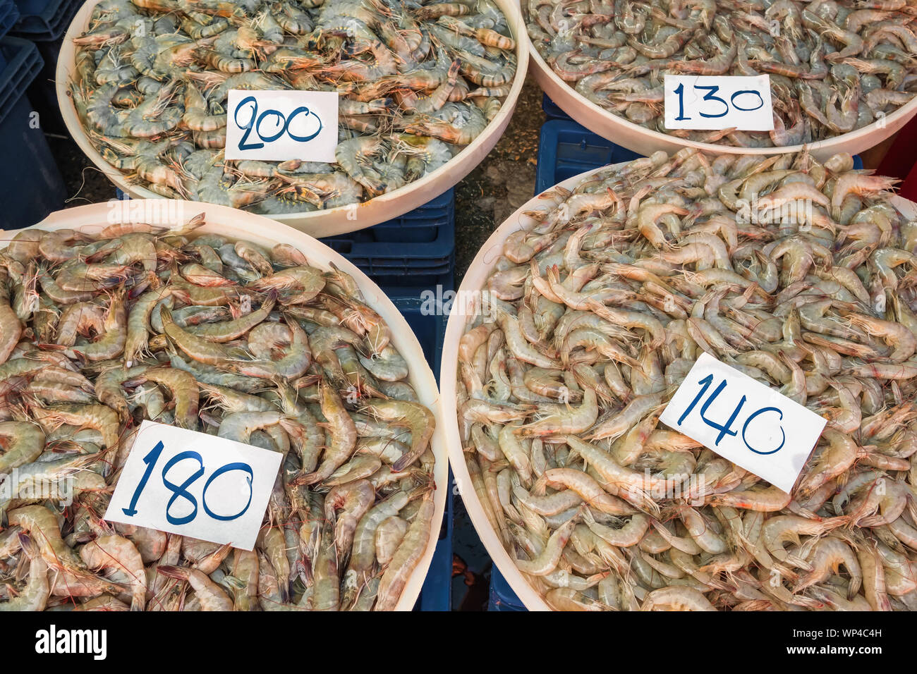 Variété de crevettes pour la vente au marché thaïlandais Banque D'Images