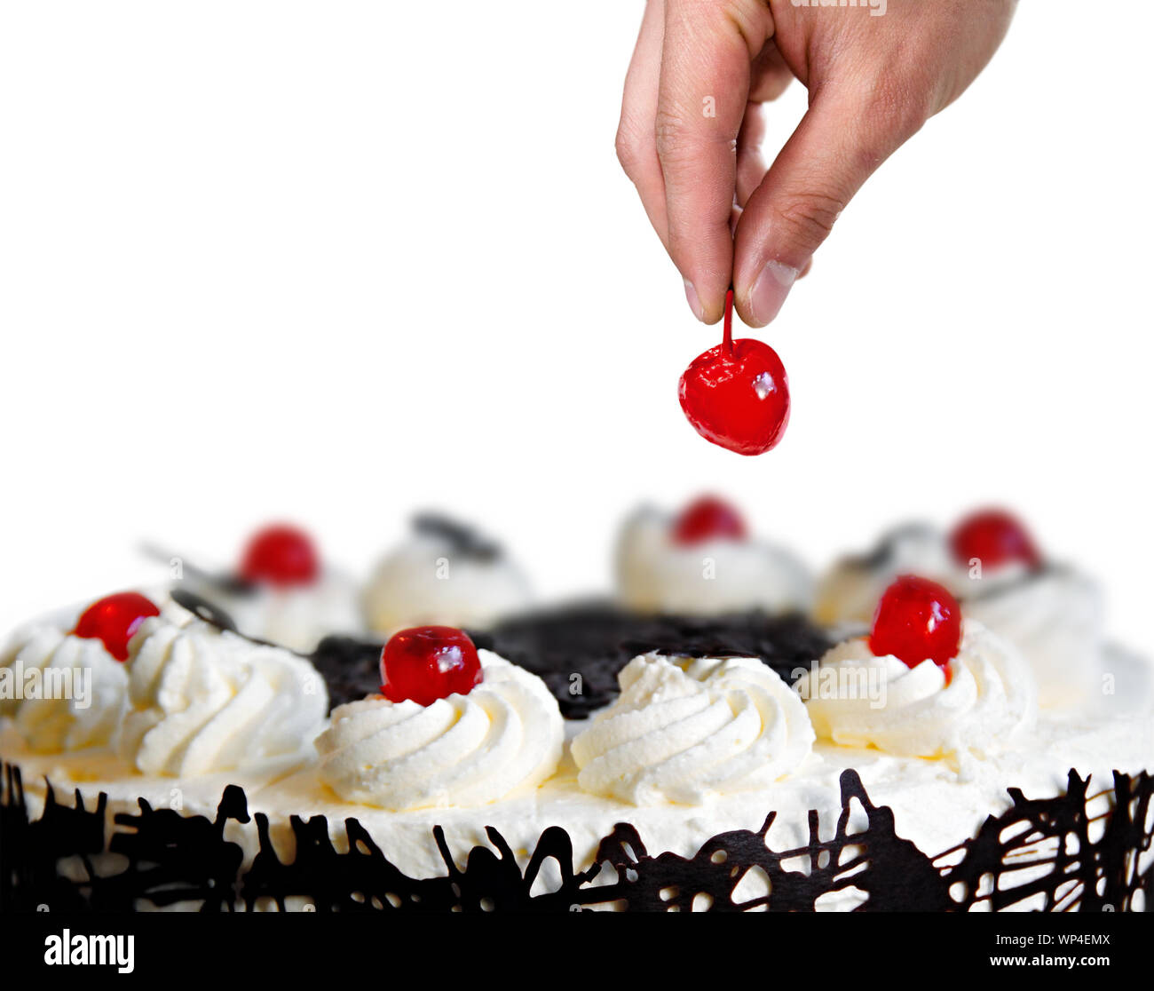 Placer la main la cerise sur le gâteau avec fond blanc. Banque D'Images