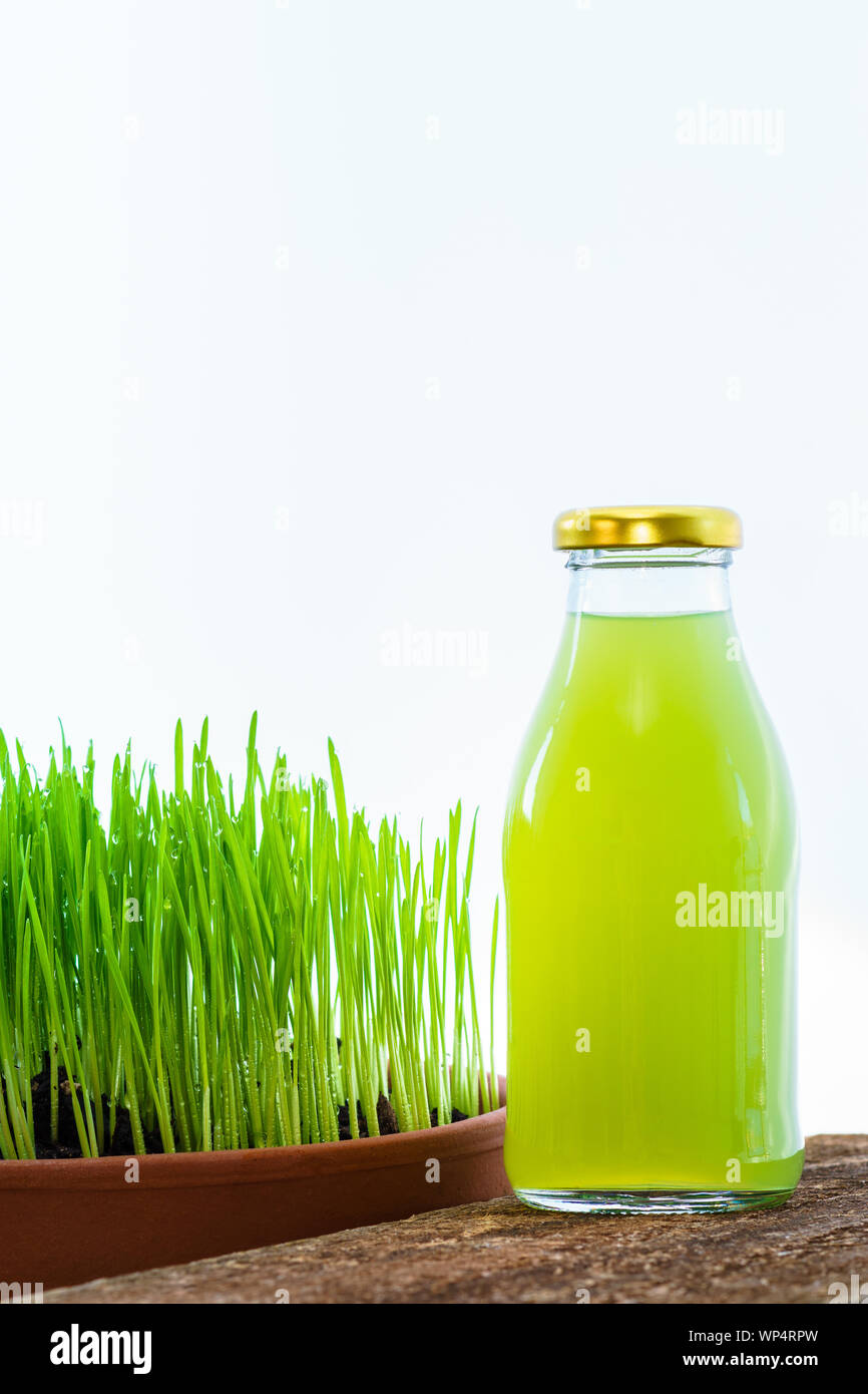 L'agropyre de jeunes poussant dans un pot en terre cuite isolé sur un fond blanc avec une bouteille en verre réutilisable de jus de wheatgrass. Banque D'Images