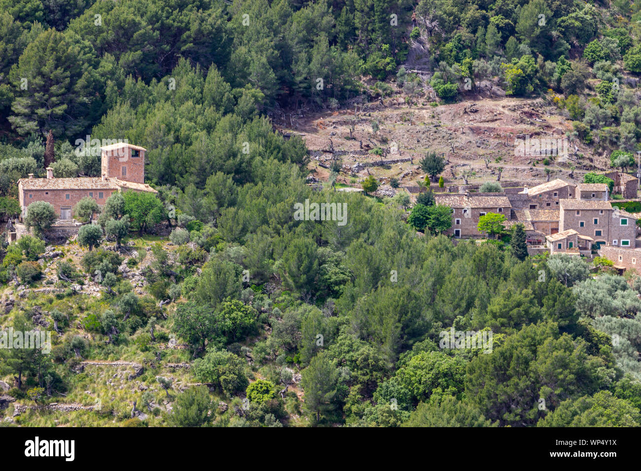 Vue panoramique sur le paysage de la Serra de Tramuntana au nord de Majorque entre Valldemossa et Sa Calobra Banque D'Images