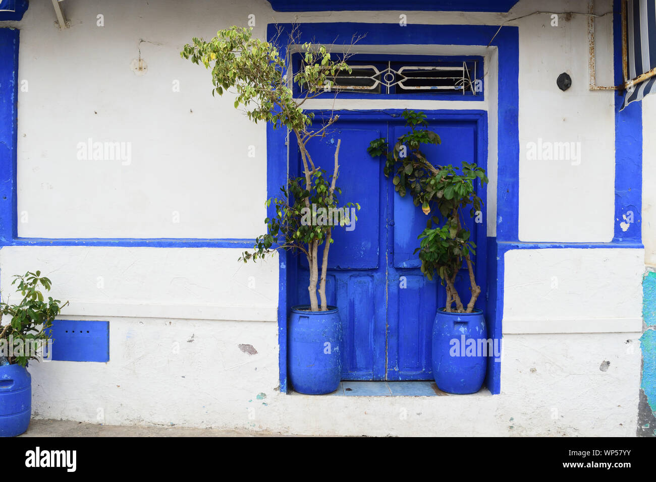 plantes dans un pot bleu recyclé avec une porte bleue Banque D'Images
