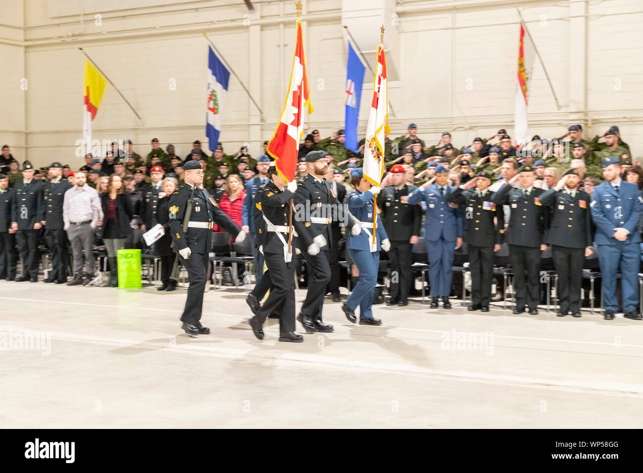Défilé militaire Banque D'Images Défilé militaire Banque D'Images