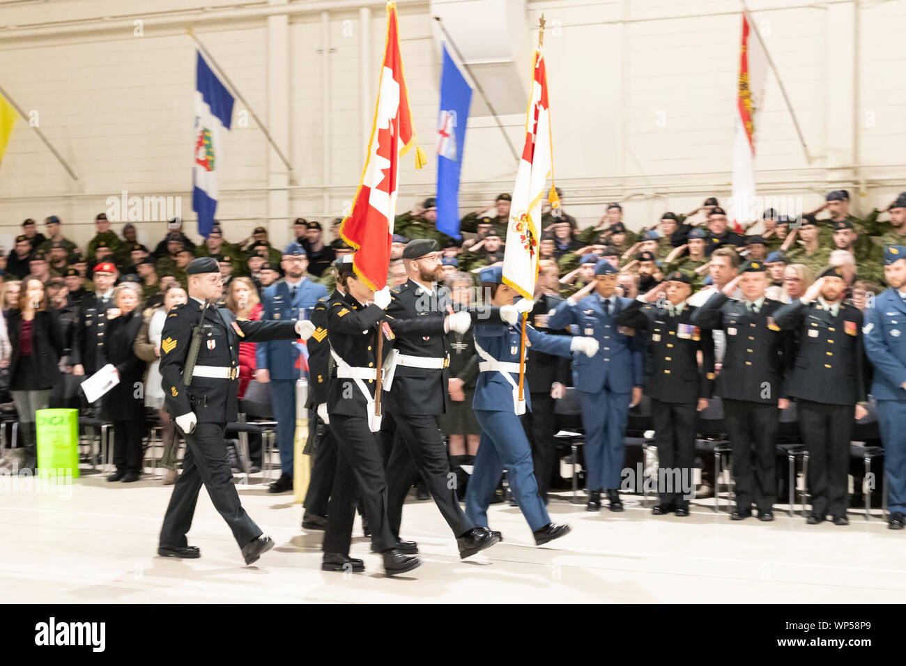 Défilé militaire Banque D'Images Défilé militaire Banque D'Images