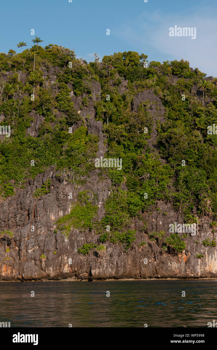 Pinnacle calcaire, l'île de Raja Ampat, Papouasie occidentale, en Indonésie Banque D'Images