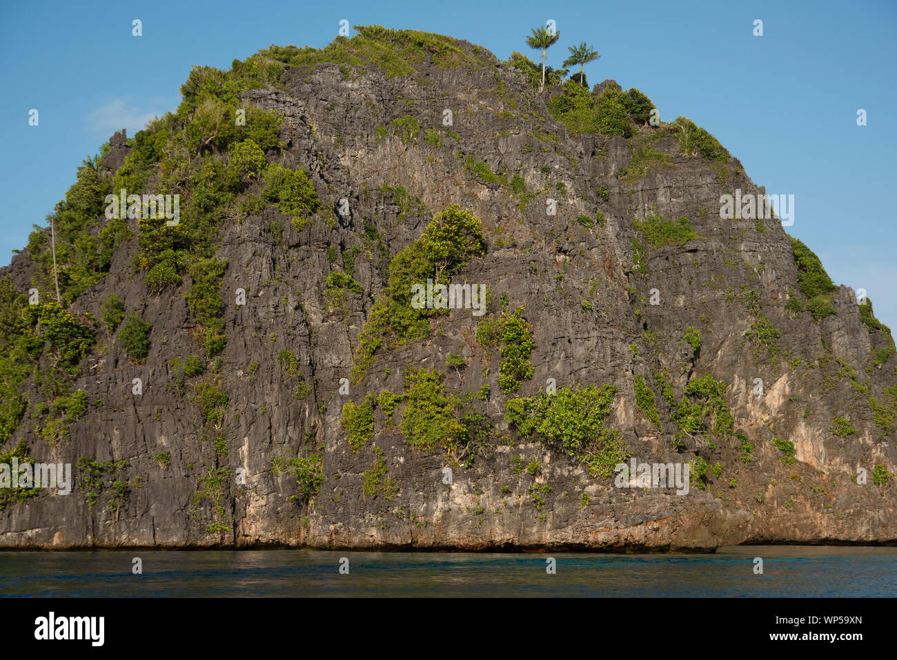 Pinnacle calcaire, l'île de Raja Ampat, Papouasie occidentale, en Indonésie Banque D'Images