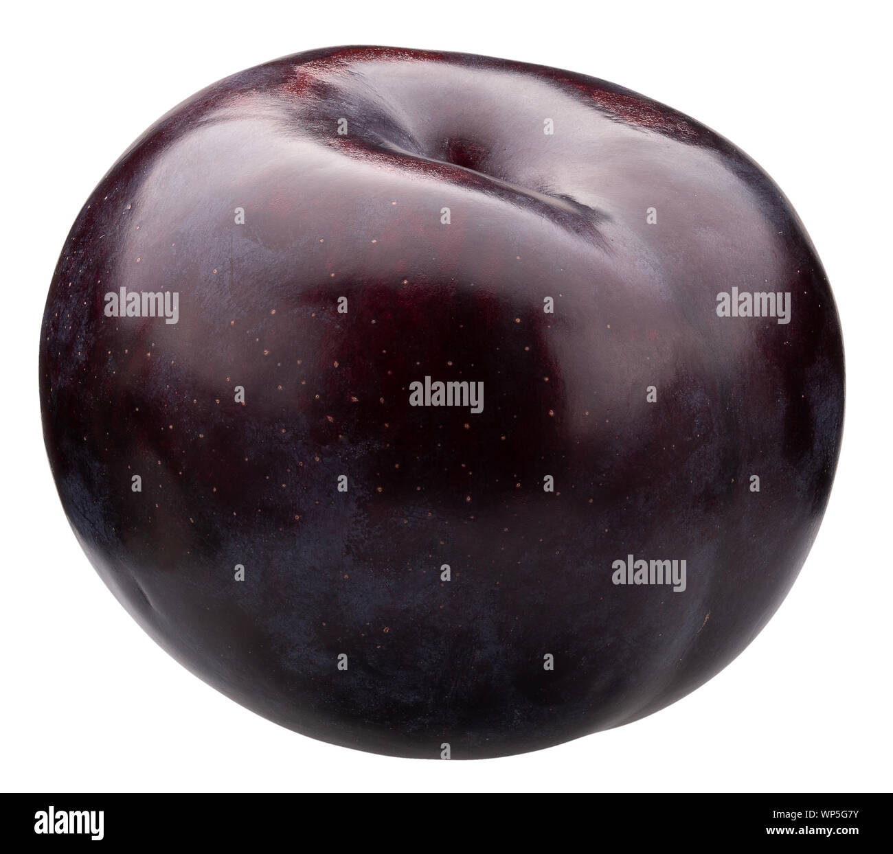 Plum isolé sur un fond blanc. Banque D'Images