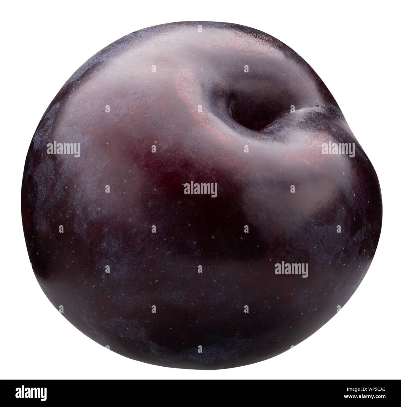 Plum isolé sur un fond blanc. Banque D'Images