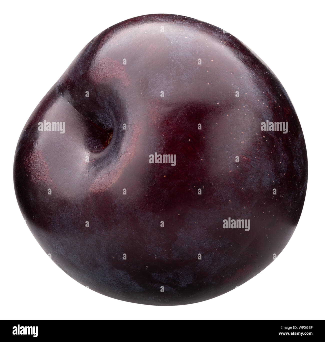 Plum isolé sur un fond blanc. Banque D'Images