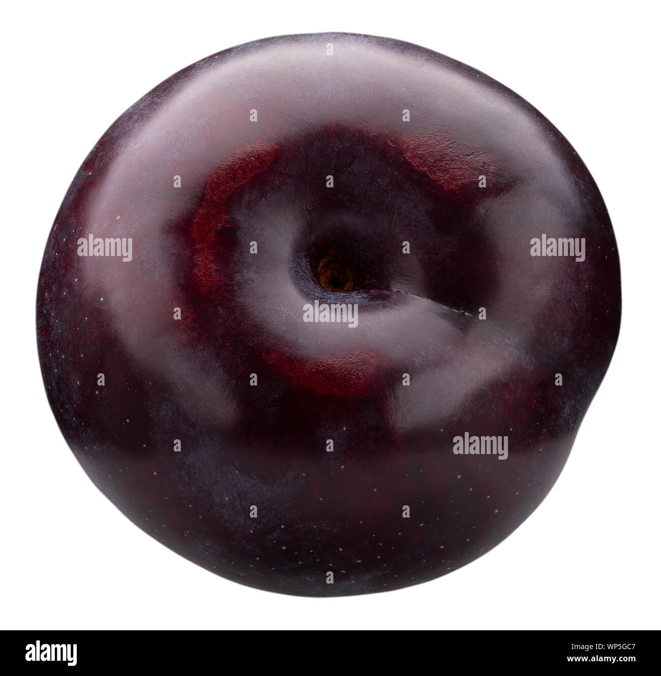 Plum isolé sur un fond blanc. Banque D'Images