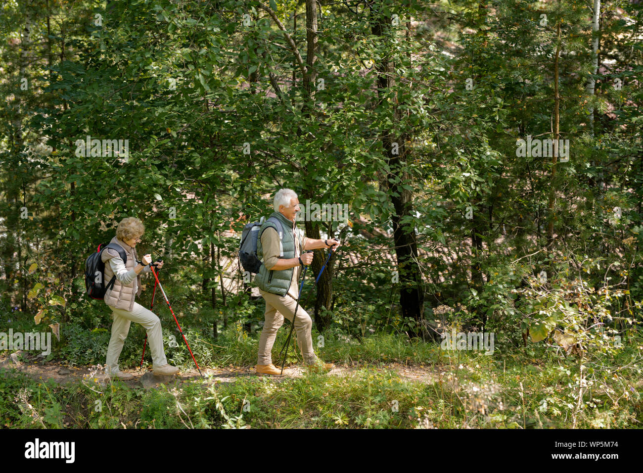 Senior couple in activewear marchant sur chemin forestier avec des bâtons de trekking Banque D'Images