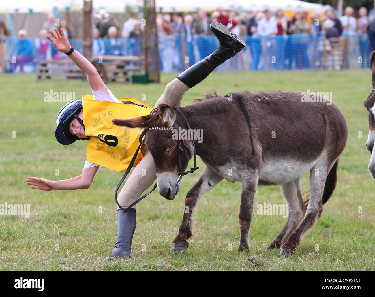 Salon de l'agriculture Alresford, Hampshire, Royaume-Uni. 7 septembre 2019. 15 ans William Dobbie prend une sèche au cours de cette année, le derby âne course. Stuart Martin Crédit/Alamy Live News Banque D'Images