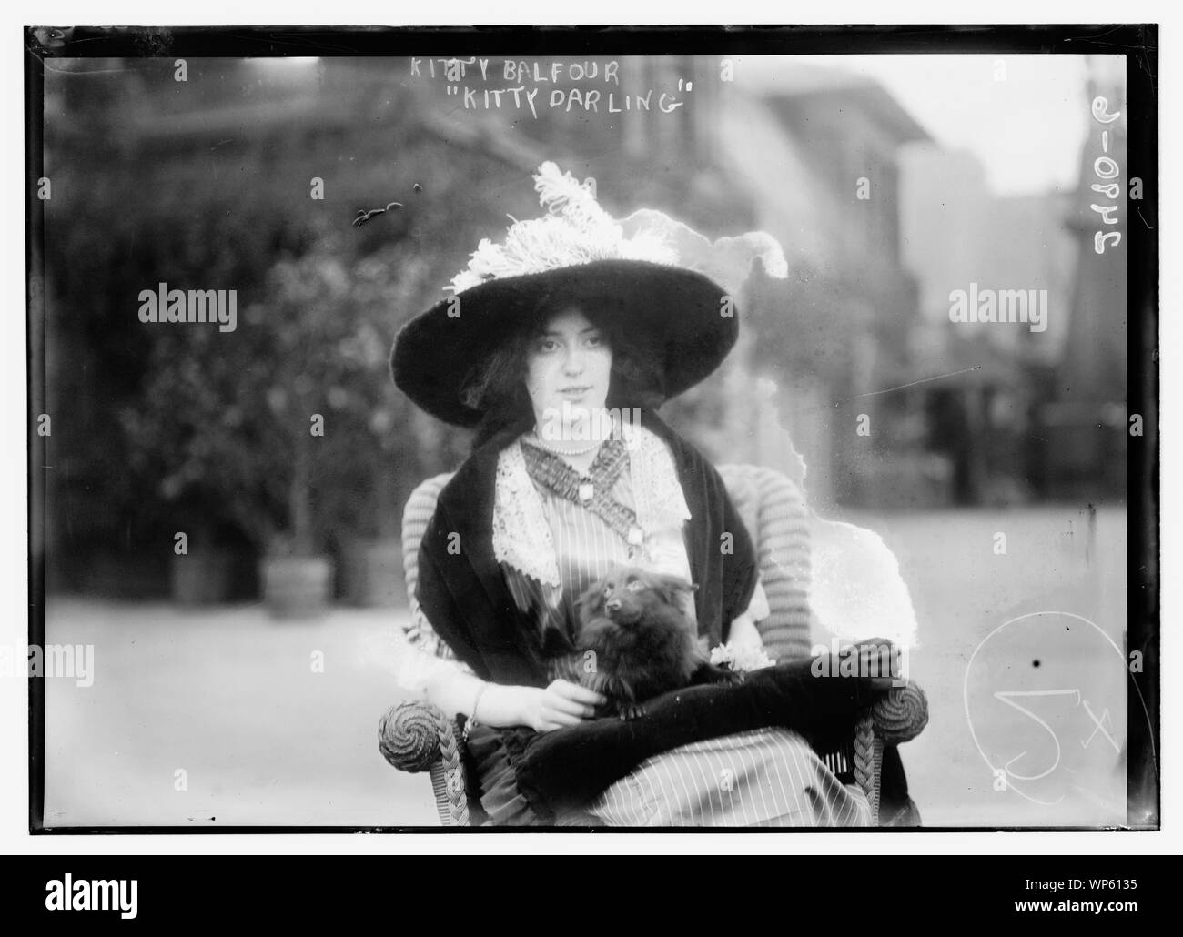 Balfour, Kitty Kitty Darling Banque D'Images