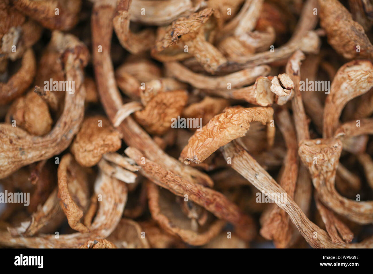 La pile de champignons secs - Image Banque D'Images