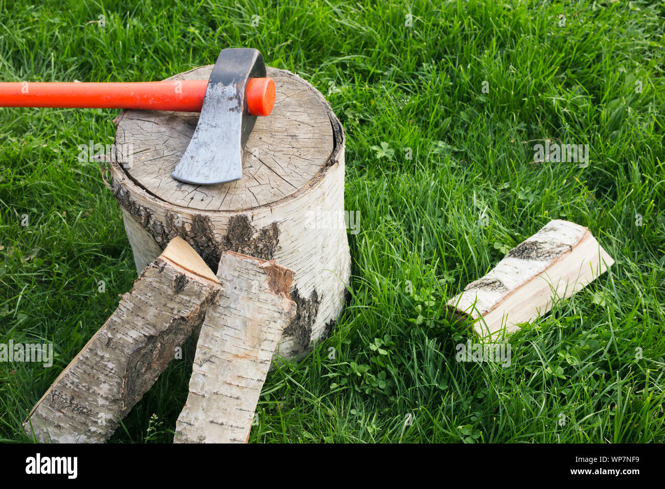 Fendre avec une hache et le fractionnement du bois de chauffage sur l'herbe. Grumes de bouleau Banque D'Images
