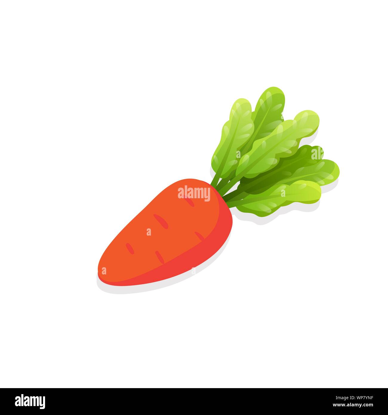 Carotte avec des feuilles isolées sur fond blanc. Orange mûre éco ferme de légumes pour la cuisson des plats sains de l'élément de conception de produit naturel pour le jeu Illustration de Vecteur