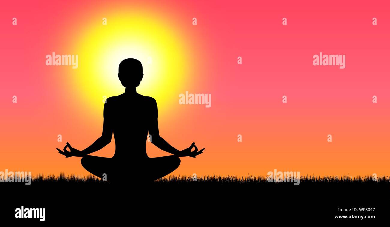Une femme effectue des exercices de yoga au coucher du soleil. Les cours de yoga. Illustration de Vecteur