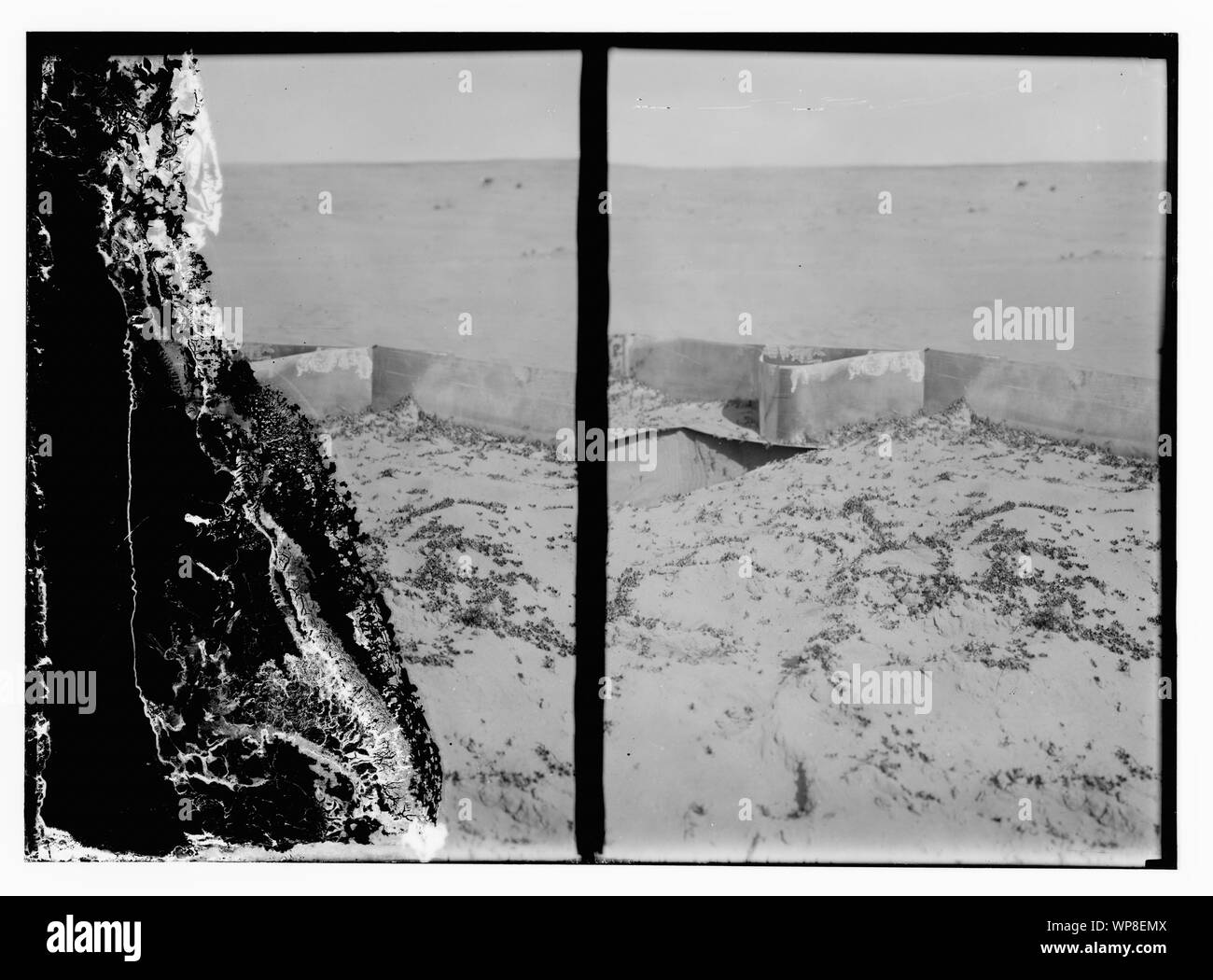 Invasion de criquets Banque D'Images