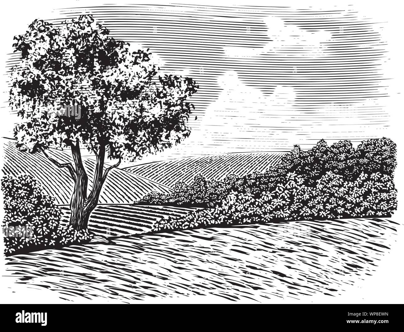 Gravure sur bois illustration d'une scène de campagne. Illustration de Vecteur