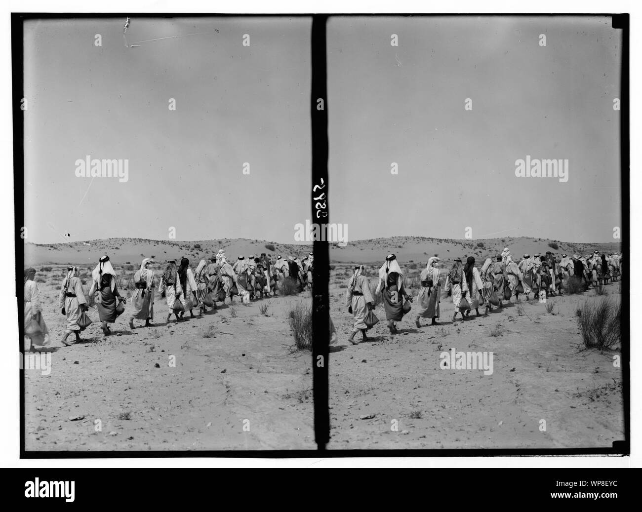 Locust plagues en Palestine. Méthodes de lutte contre l'invasion acridienne. L'escouade anti-poison marcher loin pour répandre le poison Banque D'Images