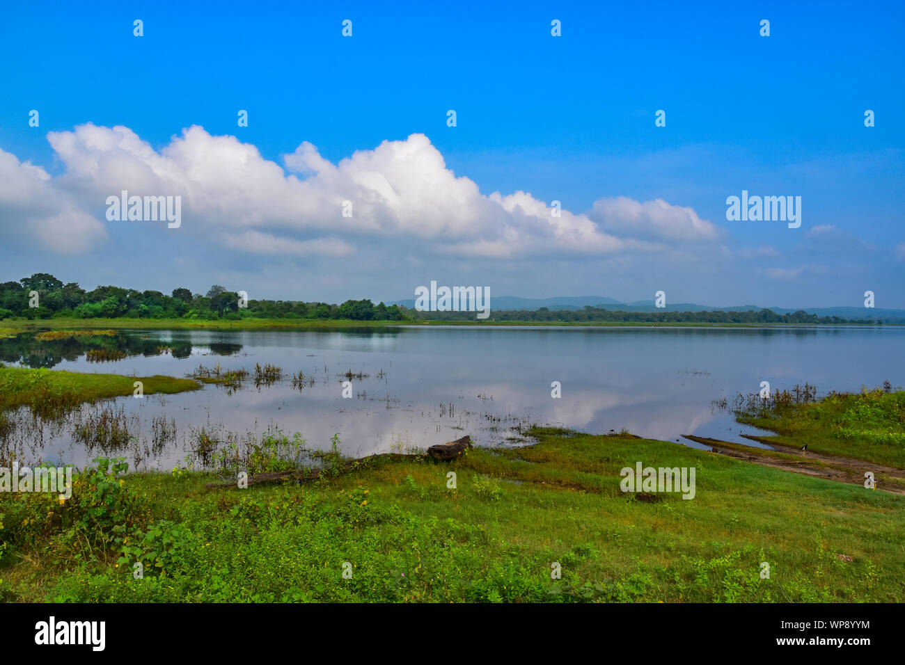 Lac, Parc National de Kaudulla, Sri Lanka Banque D'Images