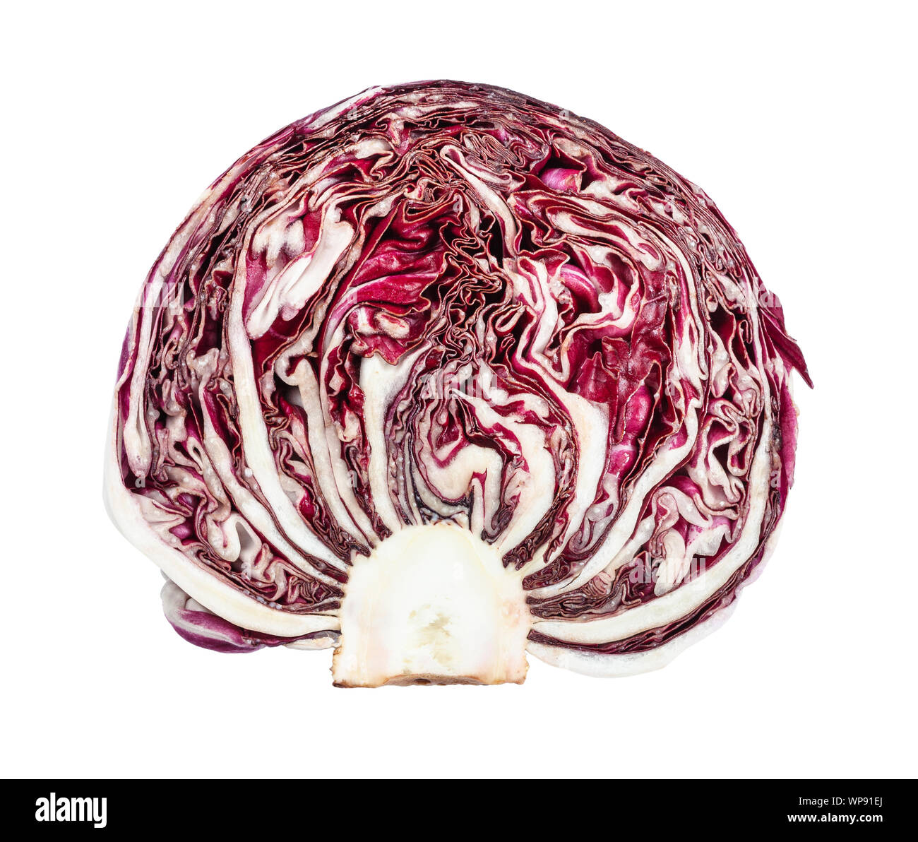 Coupe de fruits rouges des feuilles de radicchio (chicorée italienne) isolé sur fond blanc Banque D'Images