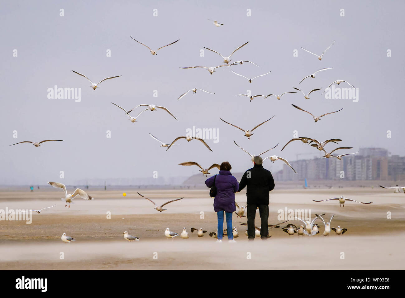 De nombreuses mouettes volantes appoaching couple at the beach Banque D'Images