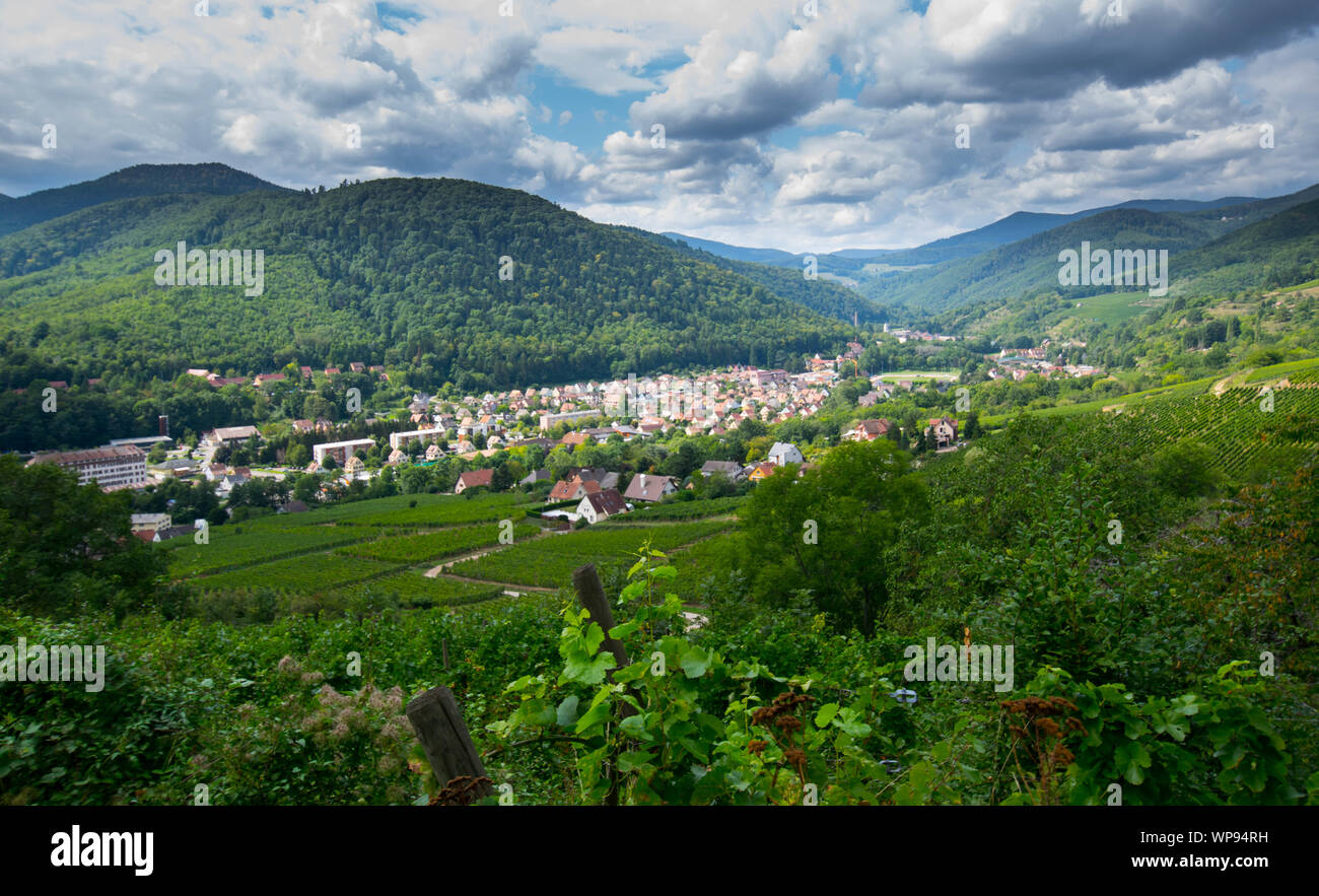 Paysage autour de Kaysersberg en Alsace en France Banque D'Images
