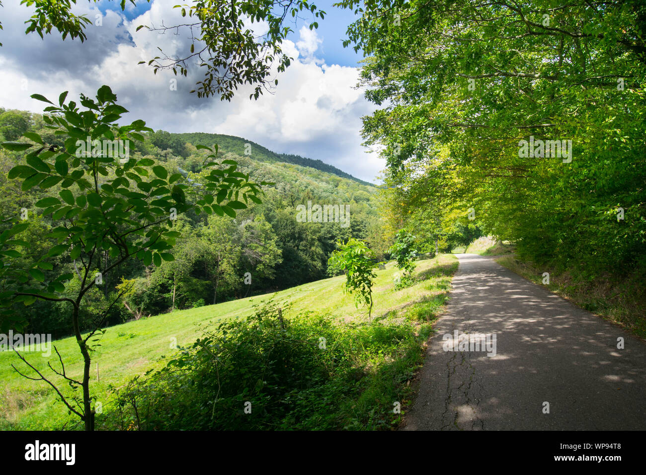 Paysage autour de Kaysersberg en Alsace en France Banque D'Images