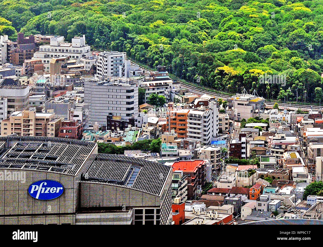 Vue aérienne sur l'immeuble Pfizer et Parc Yoyogi, Shibuya, Tokyo, Japon Banque D'Images