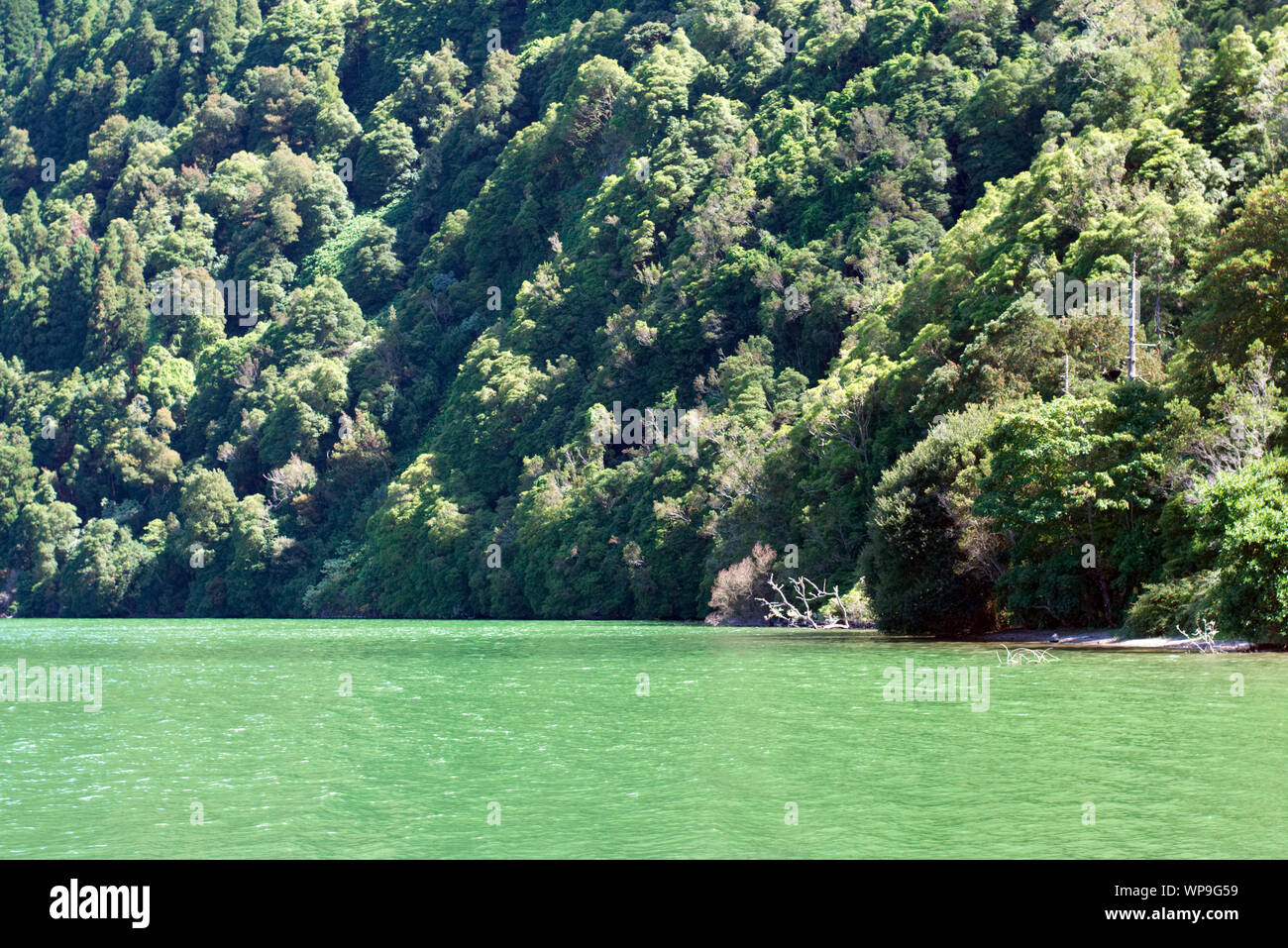 'Sete Cidades' Lagoon - São Miguel, Açores Banque D'Images