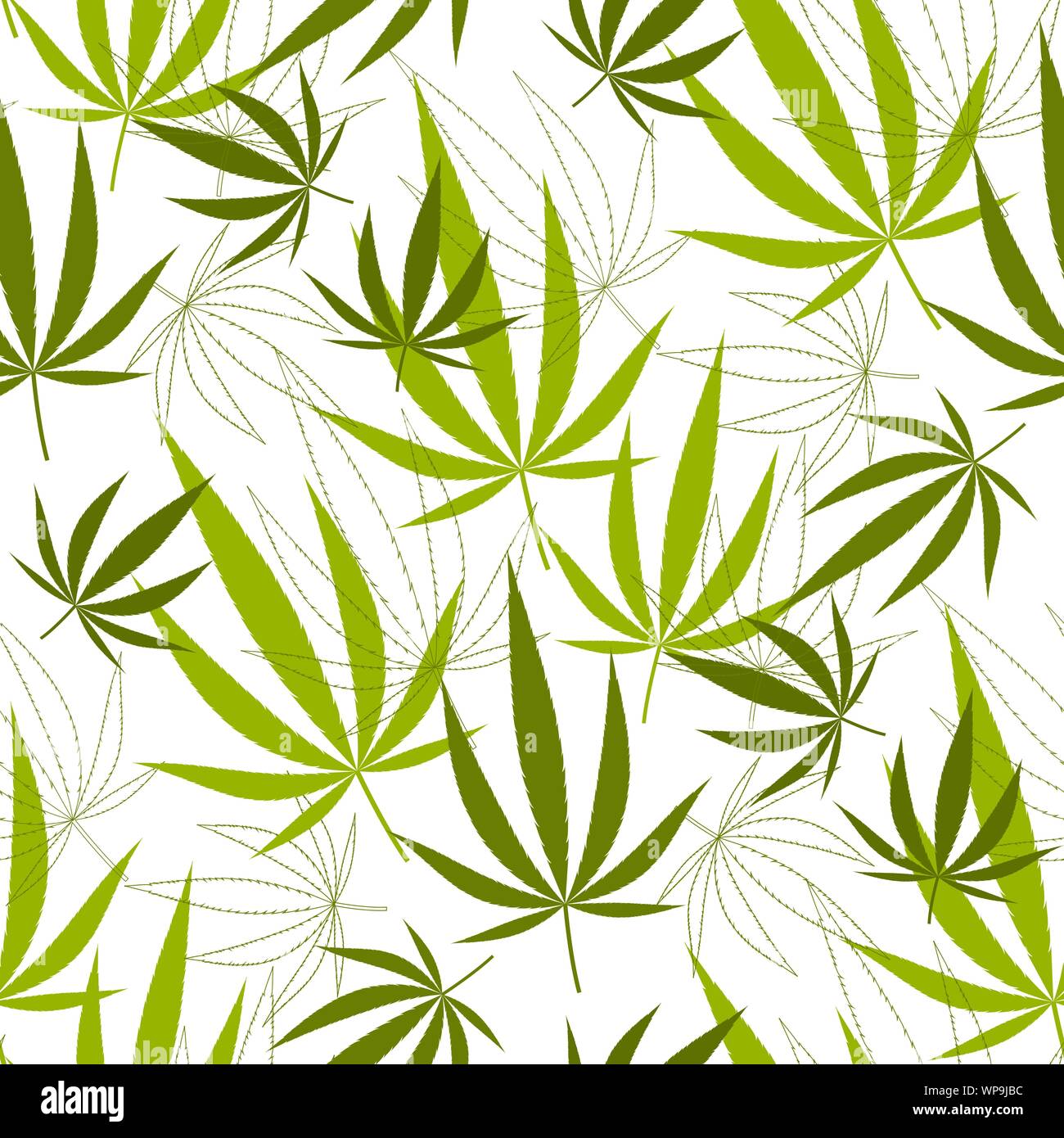 Modèle transparent avec des feuilles de chanvre. Vecteur Stock Illustration de Vecteur