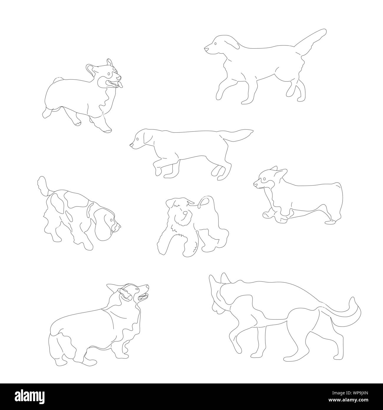 Ensemble de plusieurs noir et blanc, race de chiens corgi, retriever, berger, terrier, Schnauzer Géant. Isolé sur fond blanc Illustration de Vecteur