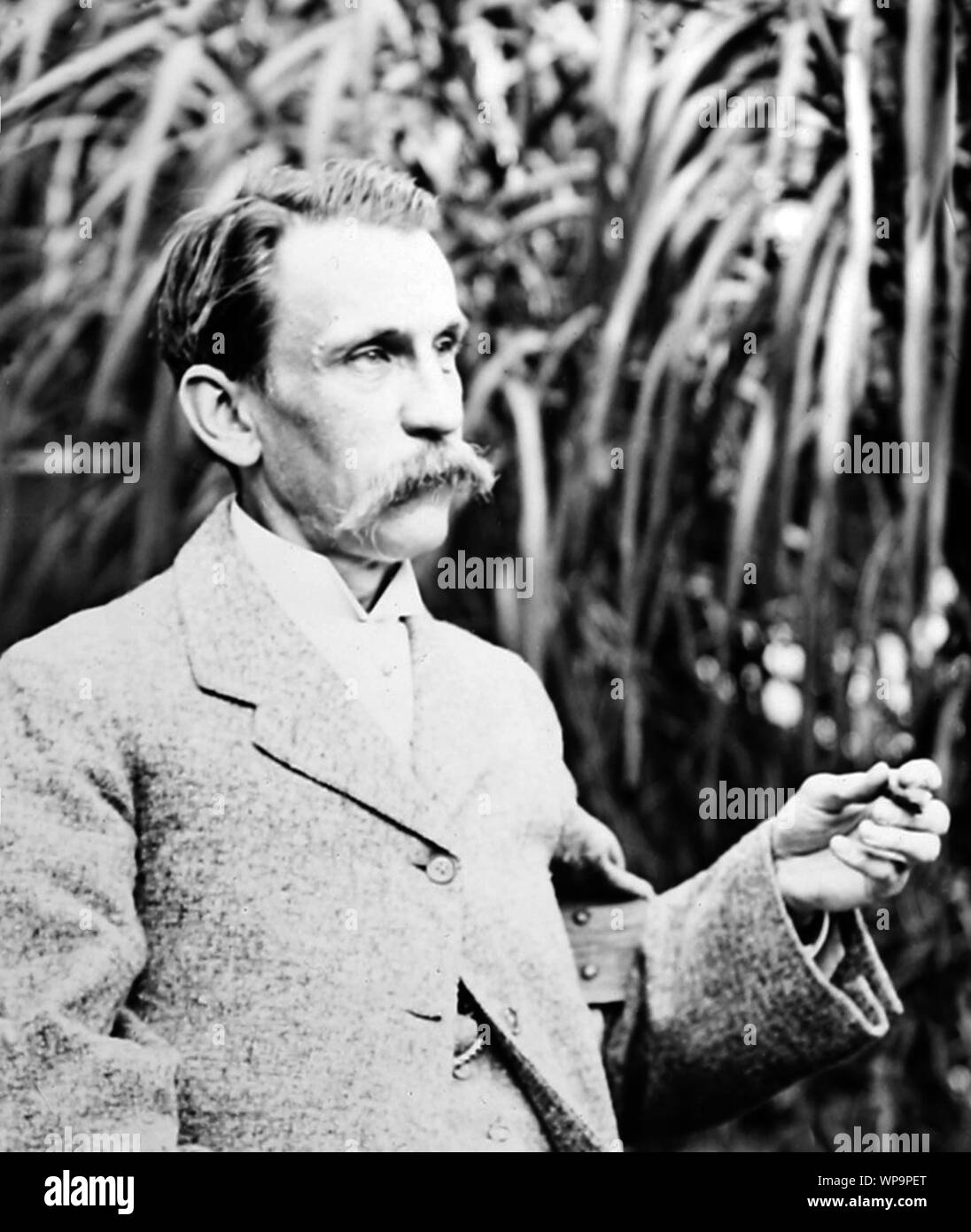 David Livingstone Banque D'Images