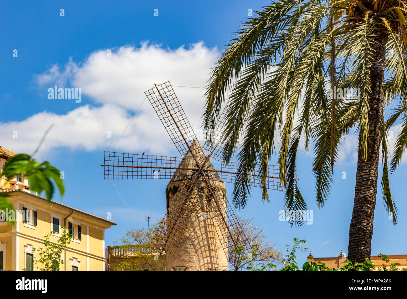 Moulin à Palma sur l'île des Baléares Mallorca, Espagne sur une journée ensoleillée avec des palmiers en face Banque D'Images