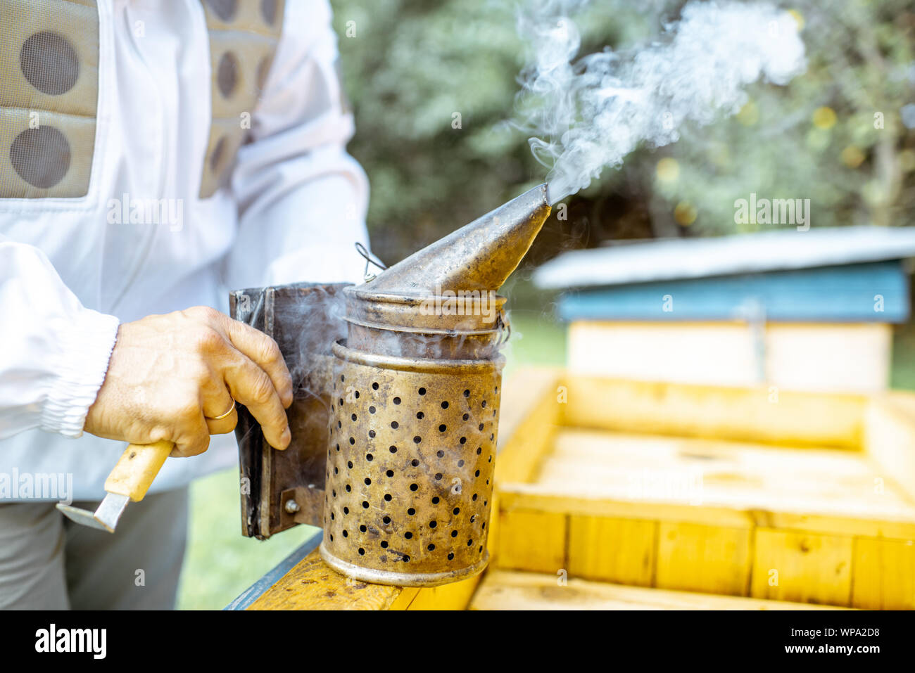 Les abeilles avec l'apiculteur fumeur fumeur d'abeilles sur le rucher Banque D'Images
