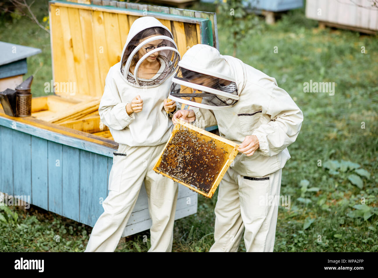 Deux jeunes en beekepers de travail uniformes de protection sur une petite ferme d'abeilles, le rucher de la ruche en bois Banque D'Images