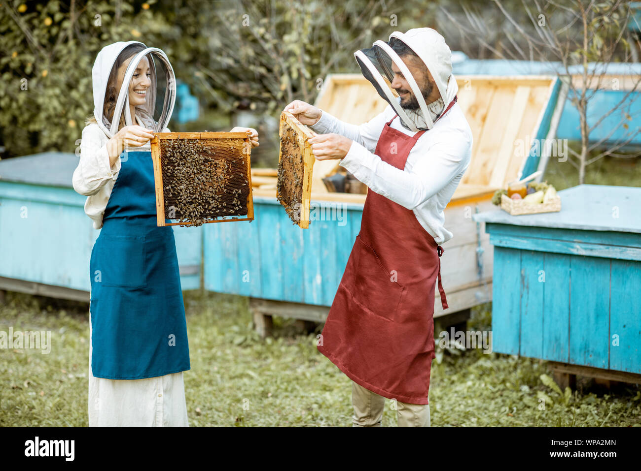 Apiculteurs et chapeaux de protection travaillant avec des tabliers d'abeilles sur le rucher ruches en bois sur l'arrière-plan Banque D'Images