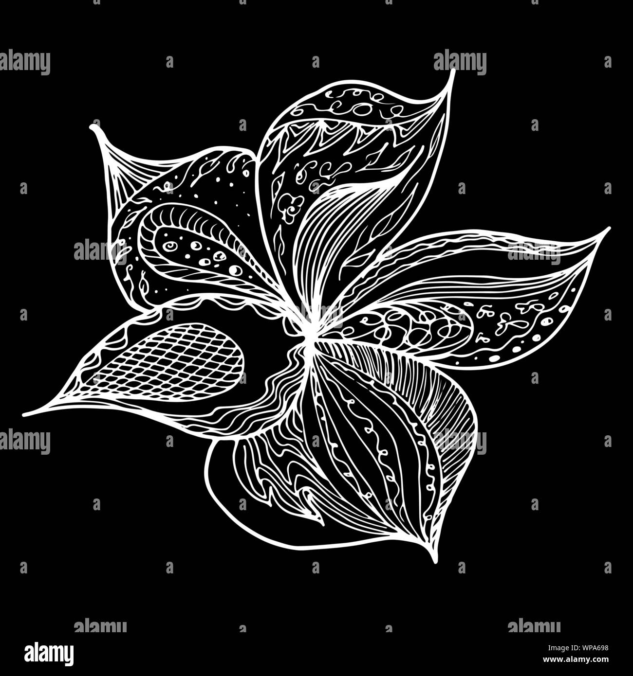 Dessinés à la main, gravée abstract orchid. Fleurs rétro contour main orchidée, grande conception pour tout usage. Contours vecteur. Arrière-plan de la nature. Scieries de pla Illustration de Vecteur