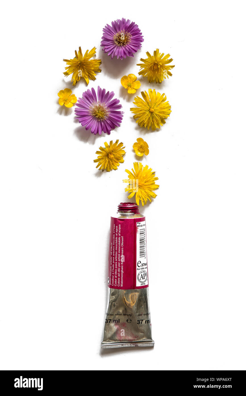 Couleur de l'huile tube de peinture avec des fleurs Banque D'Images