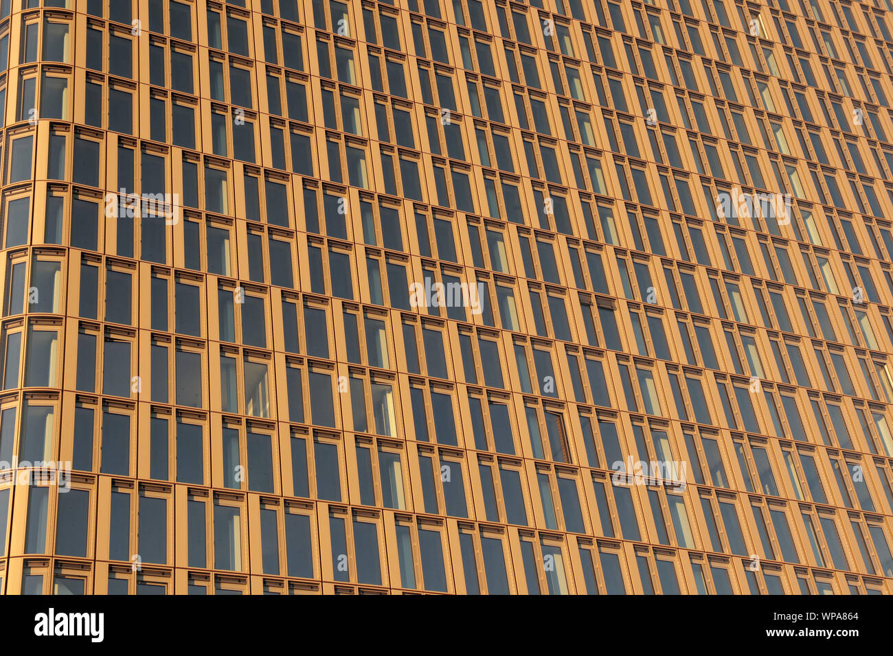 Plein de façade-bronze métalliques de couleur or sur les cadres de fenêtre d'un bureau dans un bâtiment à Vienne, Autriche Banque D'Images