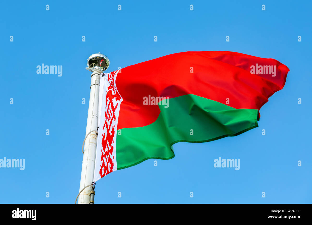 Brandissant le drapeau national du Bélarus dans le vent contre le ciel bleu Banque D'Images