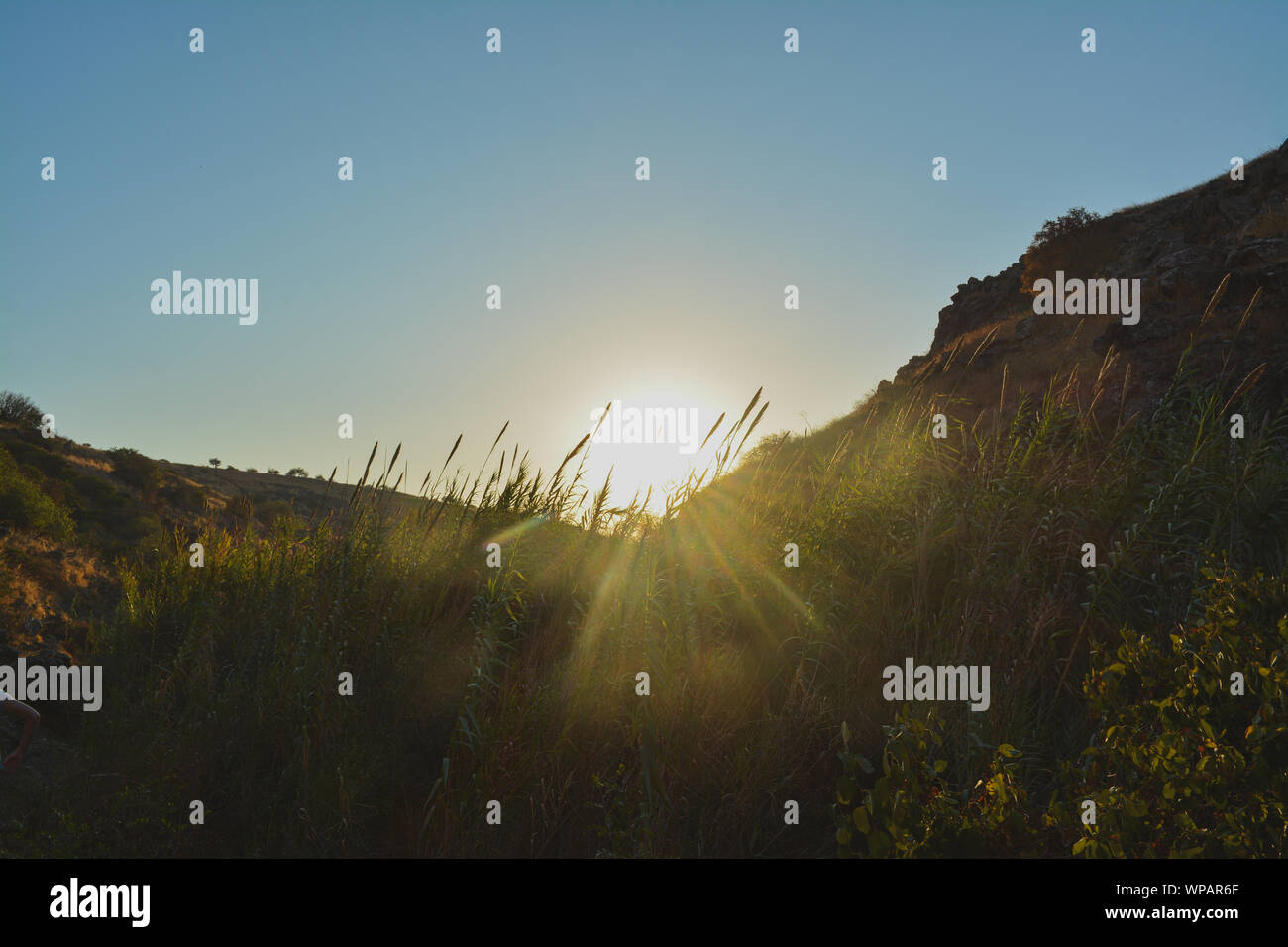 Coucher du soleil dans la savane Banque D'Images